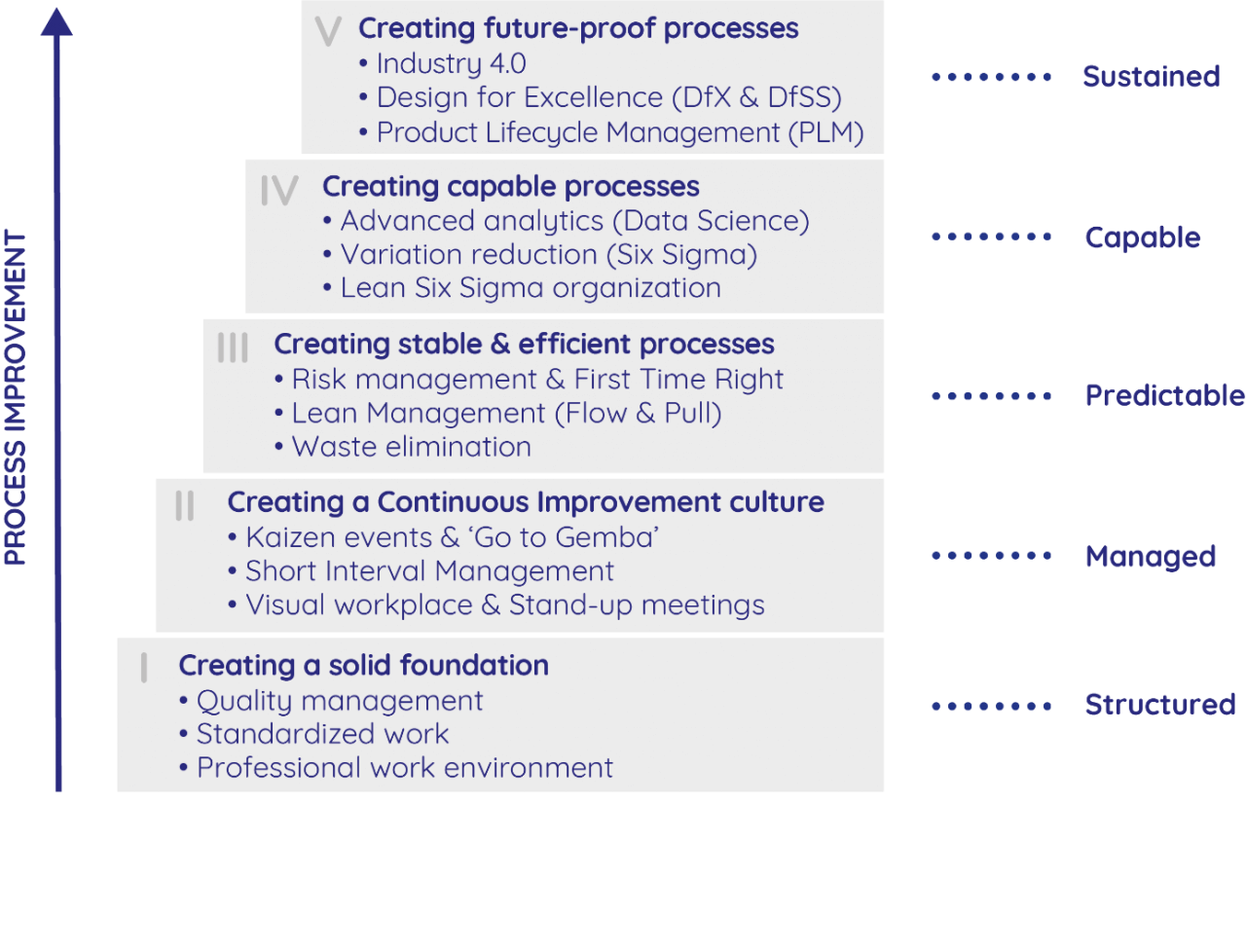 CIMM Framework: Elevate Your Organizational Processes | LSSA